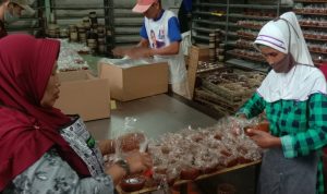 Tahun Baru Imlek Tiba, Dodol Cina jadi Primadona Pegawai tengah memproduksi kue keranjang atau dodol cina. (Sandi/Jabar Ekspres)