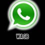 Link WA GB Pro Terupdate 2023, dengan Berbagai Fitur Asik!