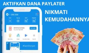 Cara Aktifkan DANA PayLater, Pinjam Bayar Nanti, Ini Penjelasannya
