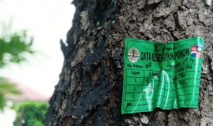 1600 Pohon di Kota Bogor Sudah Miliki KTP, Disperumkim Kembali Masifkan Pendataan