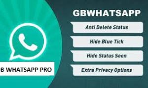 Download Wa Gb Pro 2023 Terdapat 2 Fitur Menarik, Gratis! wa gb