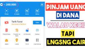 Cara Pinjam Uang Di Dana Tanpa Pinjol, No Ribet! Langsung Cair