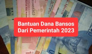 dana dari pemerintah