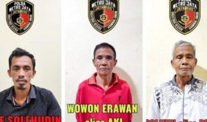 motif wowon cs