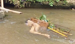 Polresta Bogor Kota tengah mencari identitas mayat lansia yang ditemukan tewas di sungai Cipakancilan, Minggu (15/1/2023). (Yudha Prananda/Jabar Ekspres)