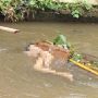 Polresta Bogor Kota tengah mencari identitas mayat lansia yang ditemukan tewas di sungai Cipakancilan, Minggu (15/1/2023). (Yudha Prananda/Jabar Ekspres)