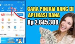 Solusi Pinjam Uang di Dana Langsung Cair, Tanpa ribet!