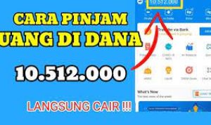 Cara Pinjam Di Dana Tanpa Bunga, Langsung Cair!