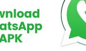 cara download WA GB, cara download WA GB terbaru, download GB WA download wa gb download whatsapp gb download whatsapp gb terkini gb wa link download GB WA link download whatsapp gb whatsapp download whatsapp gb whatsapp gb apk Whatsapp Mod, download WA GB 2023, download WA GB 2023 aman, download wa gb 2023 anti banned, Download WA GB aman, download wa gb anti banned, download wa gb apk pro