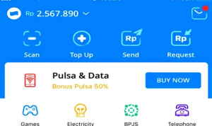 saldo dana 2 juta