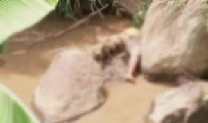 Penampakan penemuan mayat yang ditemukan warga Bandung Barat di Sungai Sungai Cimeta, Kabupaten KBB. (ISTIMEWA)