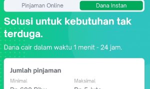 pinjaman online
