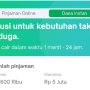 pinjaman online