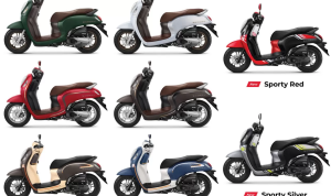scoopy 2023