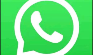 Download WA GB Apk Pro 2023 Anti Banned v19.20 Dengan Fitur Tema Menarik, Cek Di Sini Gratis