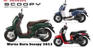 honda scoopy 2023