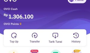 Update 2023! Saldo OVO Gratis Rp1,4 Juta Hanya Dengan Main Game, Terbukti Membayar saldo ovo gratis