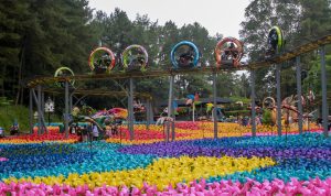 Kunjungan wisatawan ke Kabupaten Bogor. (SANDIKA FADILAH/JABAREKSPRES.COM)