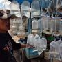 Budi, salah satu penjual di Pasar Ikan Hias sedang menunjukkan koleksi Ikan Channa. (HENDRIK MUCHLISON/JABAR EKSPRES)