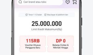 Pinjol Paling Top! Proses Cepat, Syarat Hanya KTP, Limit Rp 25 Juta Pinjol legal OJK Akulaku memberikan proses cepat hanya dengan syarat KTP limit hingga Rp 25 juta. (Dok. Akulaku)