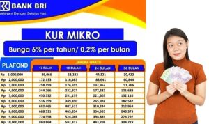KUR BRI 2023 Sudah Dibuka Hari Ini? Simak Penjelasannya Di Sini!