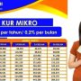 KUR BRI 2023 Sudah Dibuka Hari Ini? Simak Penjelasannya Di Sini!