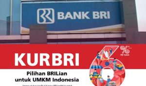 Pinjam uang di KUR BRI, Pencairannya kapan?