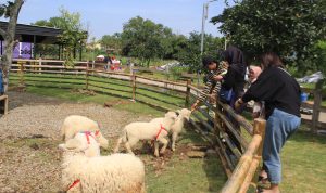 BERLIBUR: Ikon wisata keluarga di Kota Bandung bertambah. Yakni, Tepi Kota Healing yang ada di Sukamiskin, Arcamanik, Kota Bandung. (HENDRIK MUCHLISON/JABAR EKSPRES)