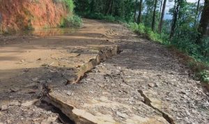 Gempa Terbaru 2 Februari 2023 Guncang Jawa Timur, Berikut Informasinya!