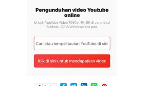 Cara Download Youtube MP4 Mudah dengan VidMeta