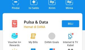 Cukup Modal Salin Link, Dapatkan Saldo Dana Gratis Rp 250 Ribu (ilustrasi/istimewa)