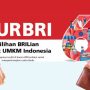 kur bri 2023