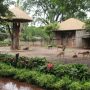 Kebun Binatang Bandung atau Bandung Zoo memiliki koleksi baru. Yakni seekor Lechwe berasal dari benua Afrika. yang baru saja lahir