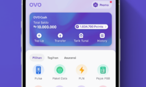 Ilustrasi Saldo OVO Gratis/ Tangkap Layar Play.google.com
