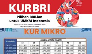 KUR BRI 2023 Akan Dibuka Sebentar Lagi? Siapkan Persyaratannya!