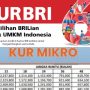 KUR BRI 2023 Akan Dibuka Sebentar Lagi? Siapkan Persyaratannya!