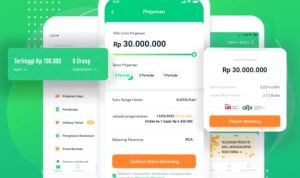 Proses pencairan dana Rp 30 juta pinjol legal OJK hanya butuh waktu 5 detik setelah mendapatkan persetujuan.