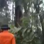 Proses Evakuasi Helikopter Kapolda Jambi yang Jatuh