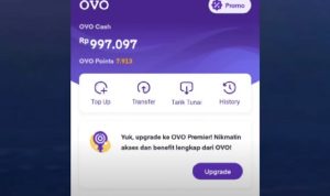 saldo OVO gratis lewat game online