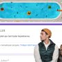Link Tes Ujian Kejutekan Via Google Form Terbaru, Seberapa Jutek Kamu?