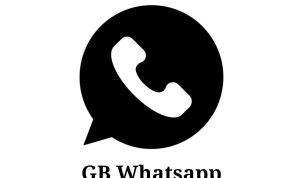 Update WA GB (GB Whatsapp) Pro Apk, Bisa Bikin Status Video Lebih Lama!