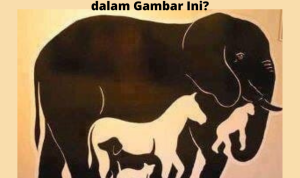 Seberapa Telitikah Kamu? Cek dengan Tes IQ Gambar di Sini!
