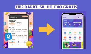 Tips Hasilkan Saldo OVO Gratis/ Play.google.com (ilustrasi)