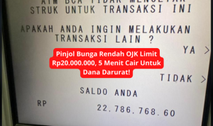 pinjol