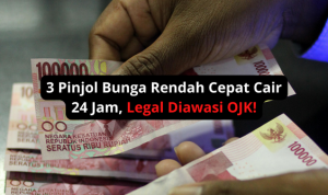 3 Pinjol Bunga Rendah Cepat Cair 24 Jam, Legal Diawasi OJK! pinjol bunga rendah