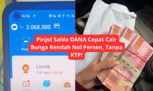 Pinjol Saldo DANA Cepat Cair Bunga Rendah Nol Persen, Tanpa KTP! pinjol saldo dana