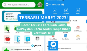 saldo dana gopay