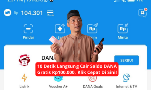 saldo dana