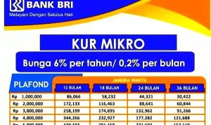 Tabel KUR BRI 2023, Mau Pinjam Berapa? Ini Daftar Angsurannya