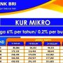 Tabel KUR BRI 2023, Mau Pinjam Berapa? Ini Daftar Angsurannya